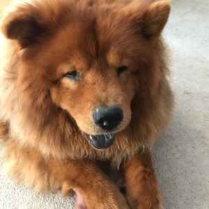 Meet your Posher, Leighton